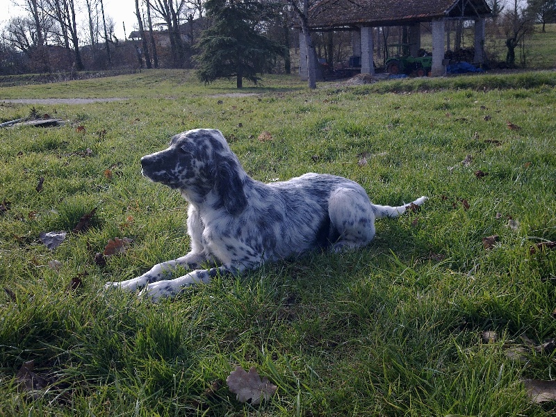 Publication : des collines de l'Izars