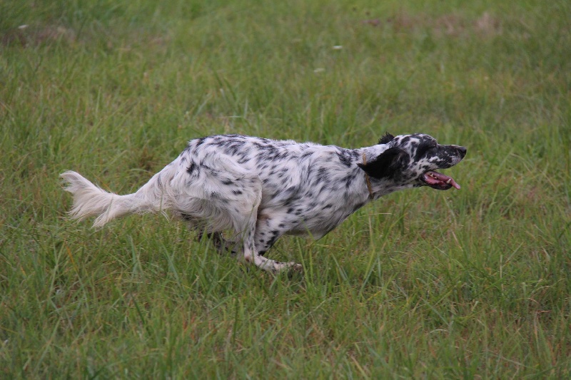 Publication : des collines de l'Izars