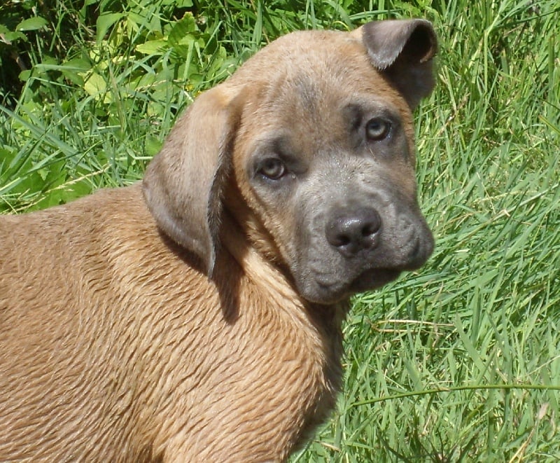 Publication : Du Chateau des anges Auteur : Kat