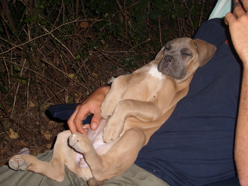 Publication : Du Chateau des anges Auteur : Kat