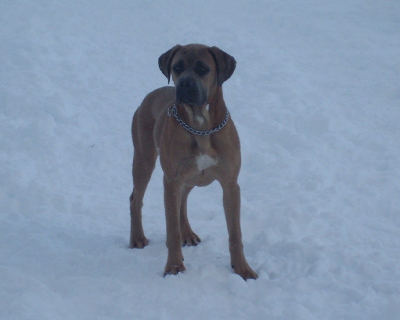 Publication : Du Chateau des anges Auteur : Kat