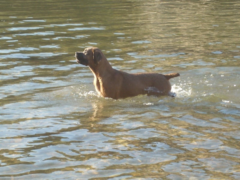 Publication : Du Chateau des anges Auteur : Kat