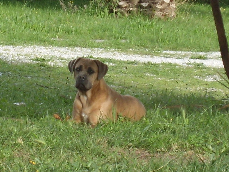 Publication : Du Chateau des anges Auteur : Kat