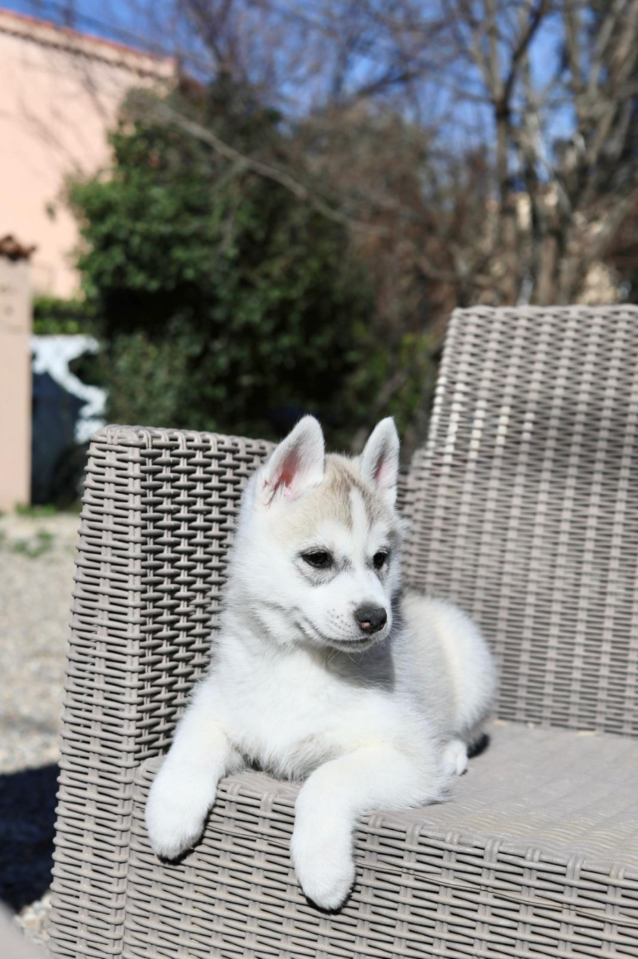 Publication : Des Deux Moulins Du Verdon