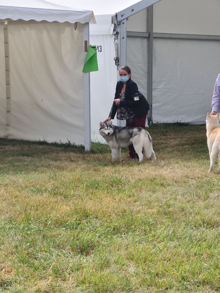 Phoebe Des Collines De Gaïrouk - 1ère excellent
