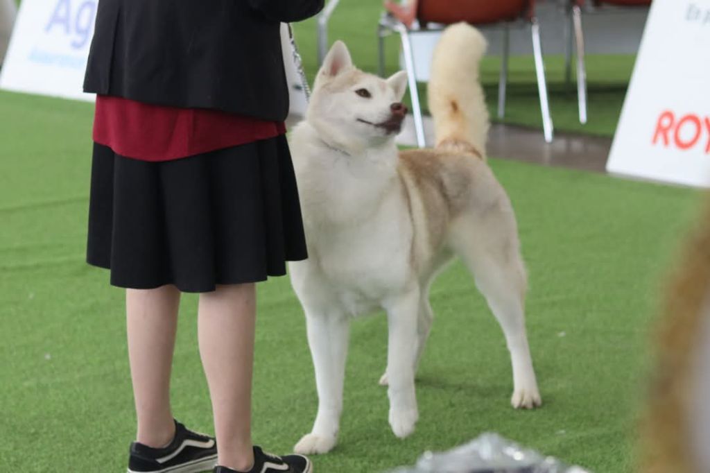 Smoothie of Wolf's River - Excellent