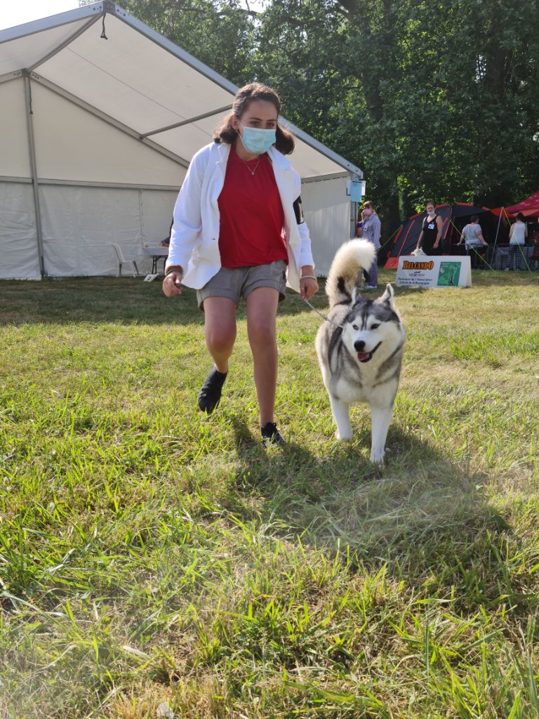 Phoebe Des Collines De Gaïrouk - 1ere très prometteur meilleur puppy