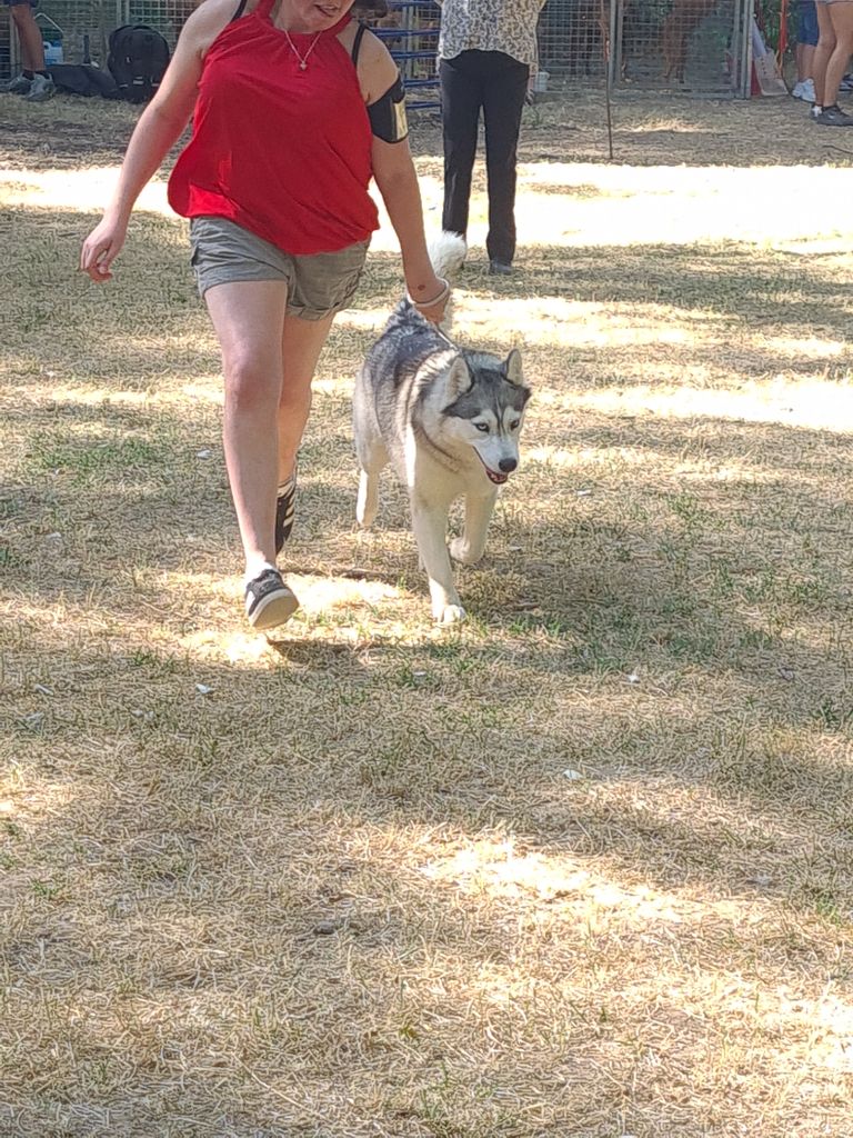 Phoebe Des Collines De Gaïrouk - 2ème excellent