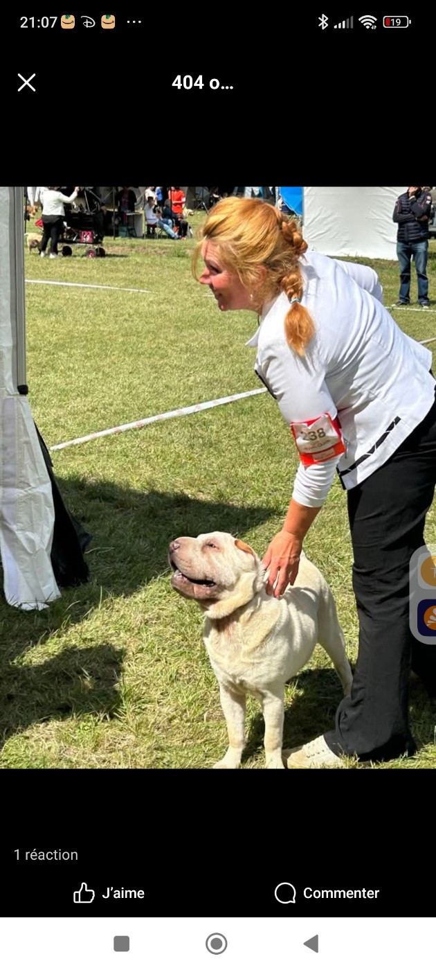 Tsu kee de l empire de tai linn De L'empire De Taï Lïnn