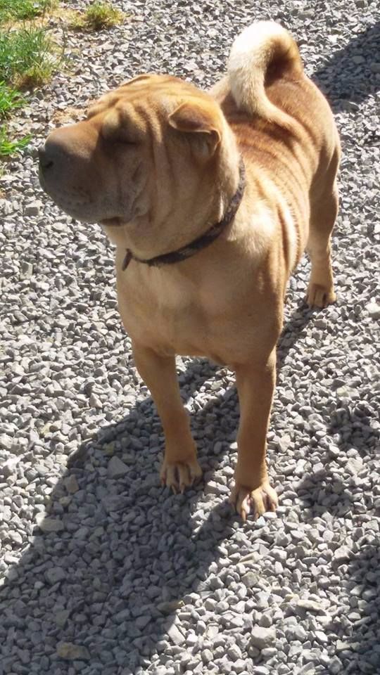 Publication : De L'empire De Taï Lïnn