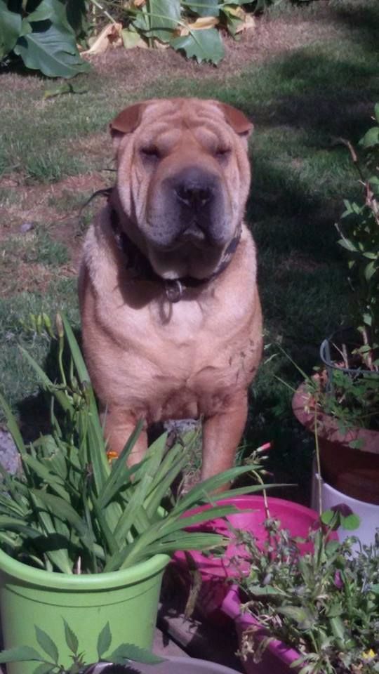 Publication : De L'empire De Taï Lïnn