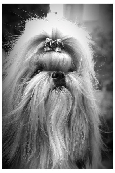 Publication : Du Domaine De Sonam Auteur : Pascale Marseille