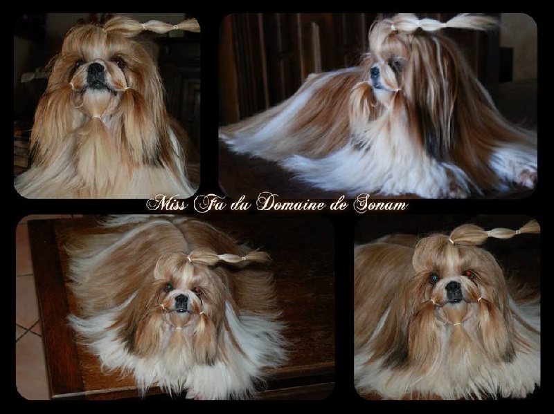 Publication : Du Domaine De Sonam Auteur : Pascale Marseille