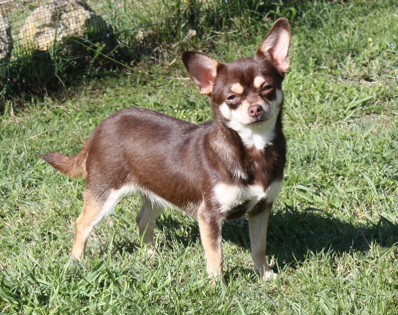 Publication : Du Paradis Des Icones