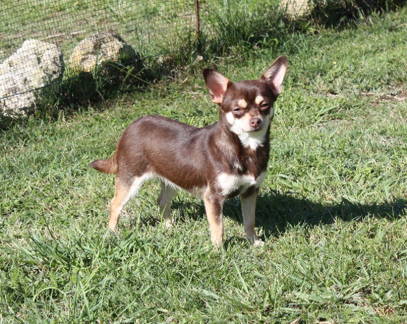 Publication : Du Paradis Des Icones