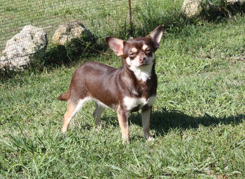 Publication : Du Paradis Des Icones