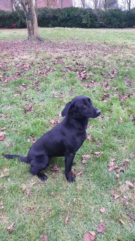 Publication : Du Marais De Piremont Auteur : Magali LEGER