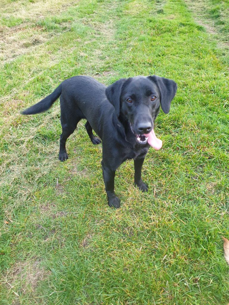 Publication : Du Marais De Piremont Auteur : Magali LEGER