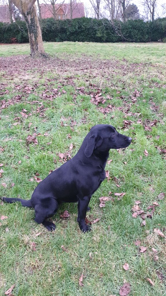 Publication : Du Marais De Piremont Auteur : Magali LEGER