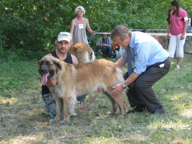 Chaïna-maggiore von Mandelweg - 3ème TRES BON