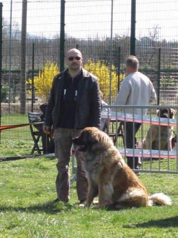 Chaïna-maggiore von Mandelweg - TRES BON