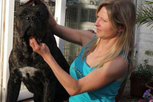 Publication : Dei Molossi D'eburon Auteur : Katja Chtuka