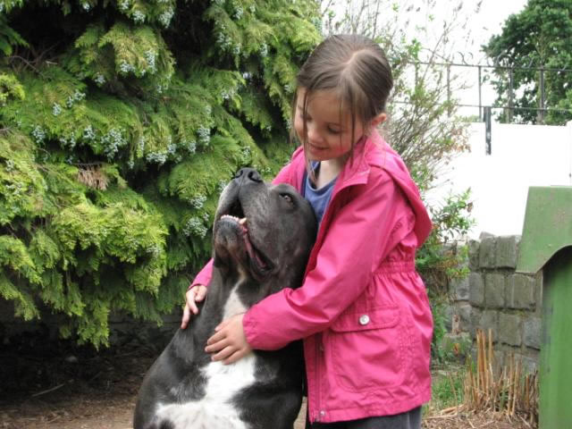 Publication : Dei Molossi D'eburon Auteur : Katja Chtuka