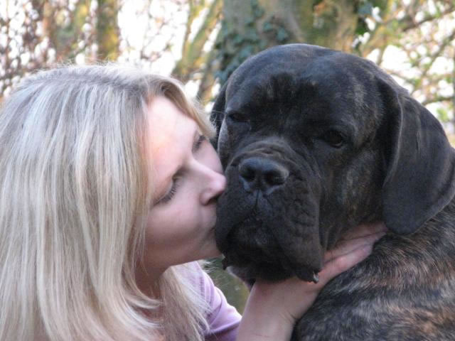 Publication : Dei Molossi D'eburon Auteur : Katja Chtuka