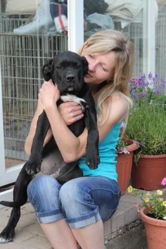 Publication : Dei Molossi D'eburon