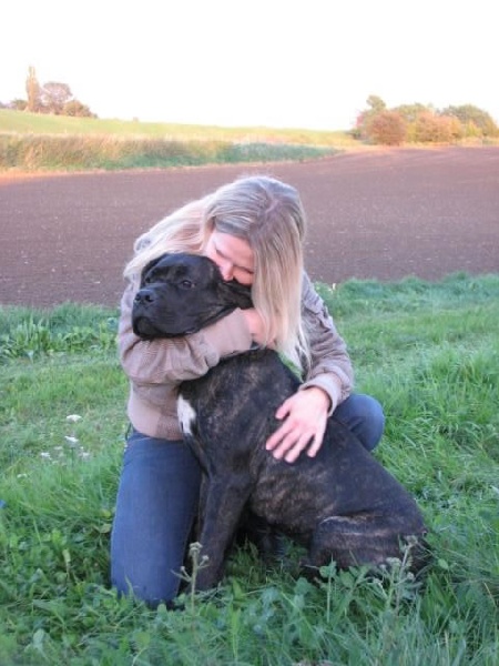 Publication : Dei Molossi D'eburon Auteur : Katja Chtuka