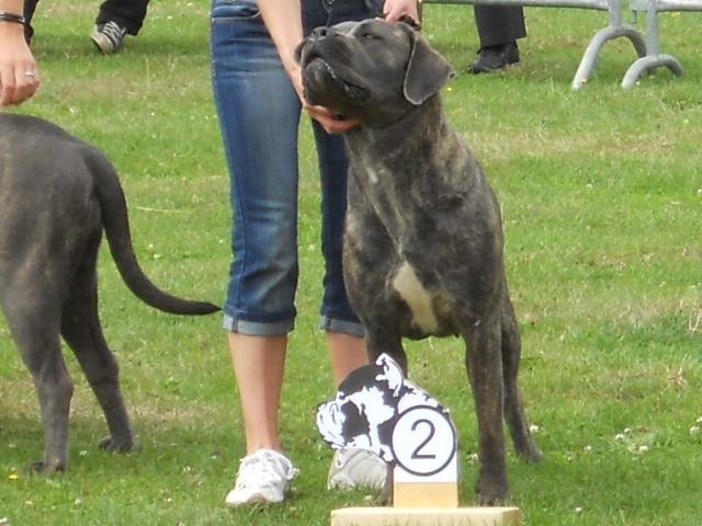 saxellum Nina - 2EX (Classe intermediair)