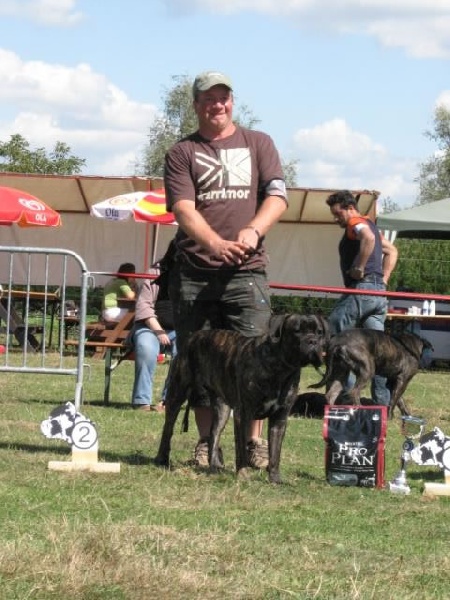 Rothorm Jy Dream Million dollar baby - 2EX (Classe intermediaire)