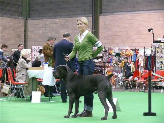 CH. Arek De la horde du bois des centaures - 1EX RCAC/RCACIB (Classe champion)