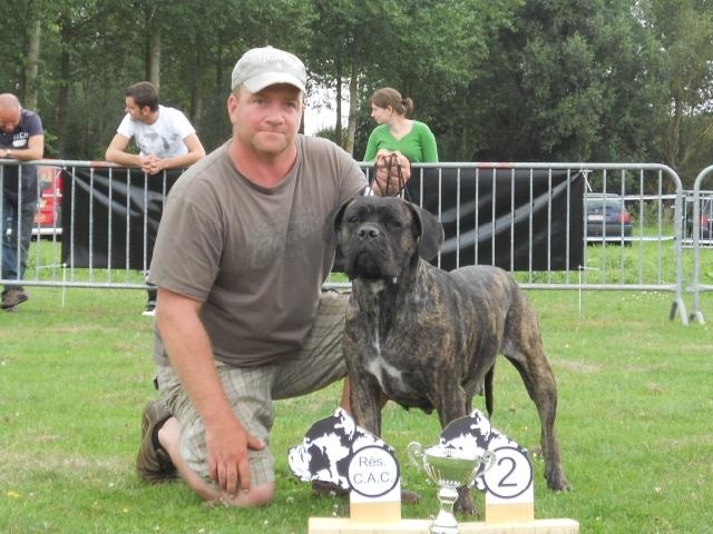 Rothorm Jy Dream Million dollar baby - 1EX RCAC (Classe ouverte)