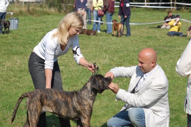 Rothorm Jy Dream Million dollar baby - 3VP (Classe puppy)