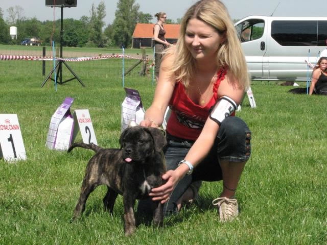 Rothorm Jy Dream Million dollar baby - ¨Promissing (Classe bébé)