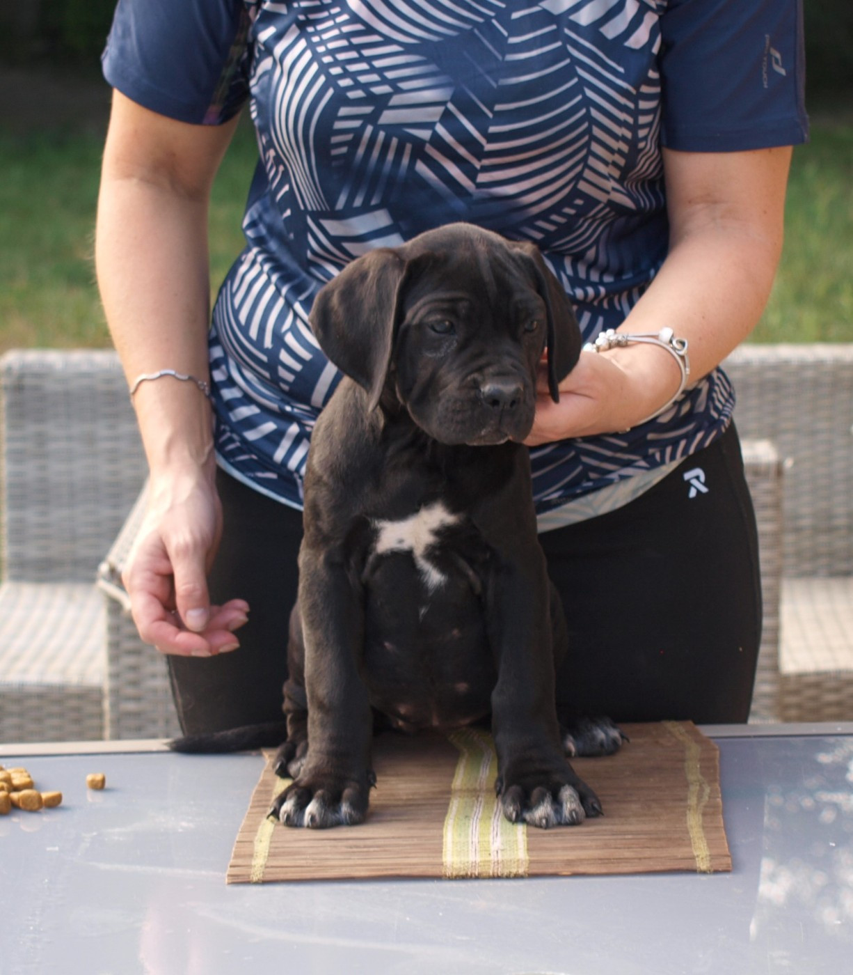 Chiot N°9