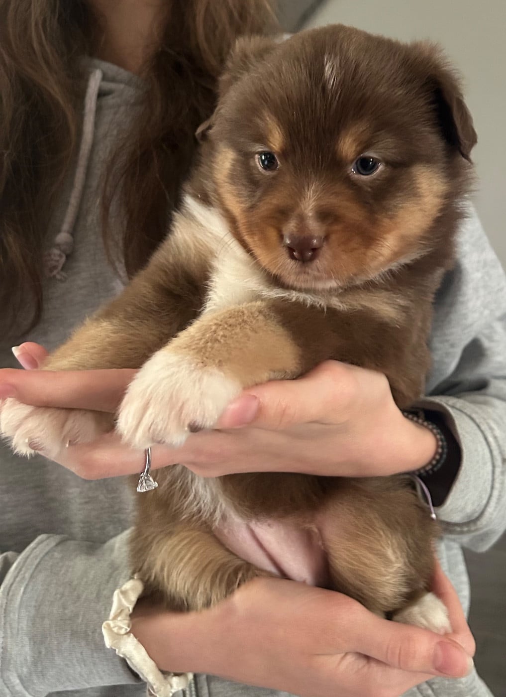 Bella