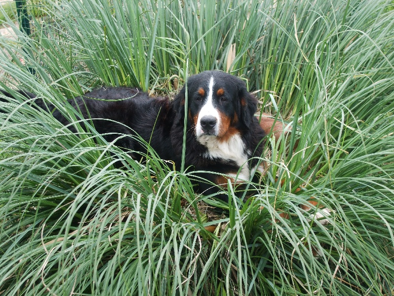 Publication : de L'empreinte D'eden Du Joyau Noir