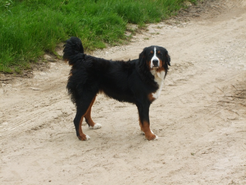 Publication : de L'empreinte D'eden Du Joyau Noir