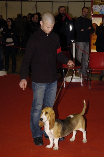 Framboise Du Domaine De Lu Ti - 1ere exellent , meilleur de race jeune