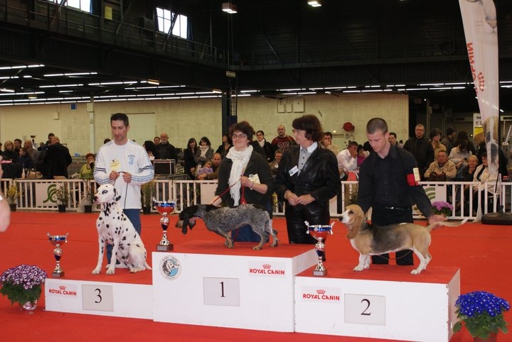 Framboise Du Domaine De Lu Ti - 1ere exellent , meilleur de race jeune et 2éme sur le ring d'honneur