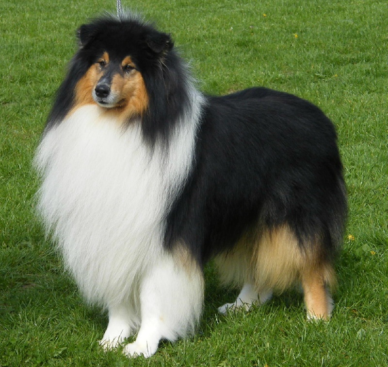 Publication : Des Vergers De Iacchos