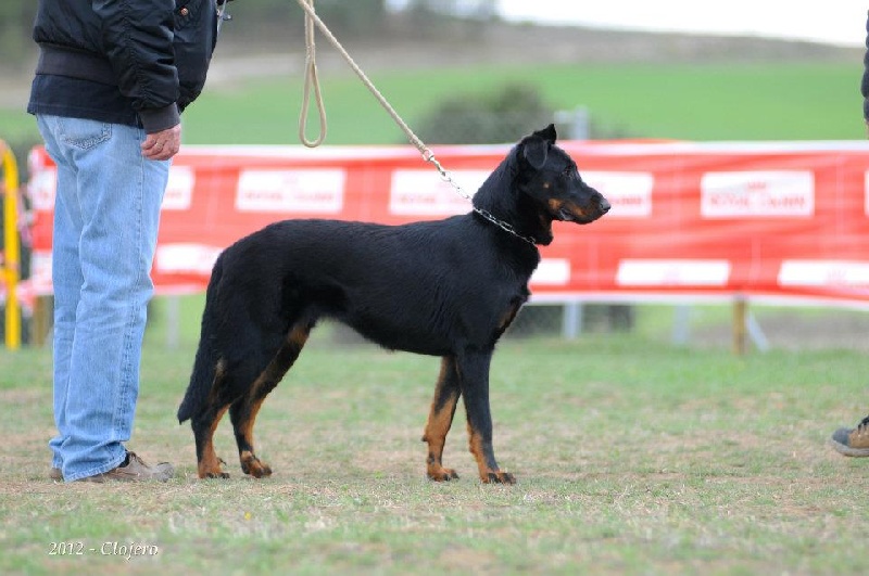 Guevarra tché de euskal herria - Test de caractére réussi !