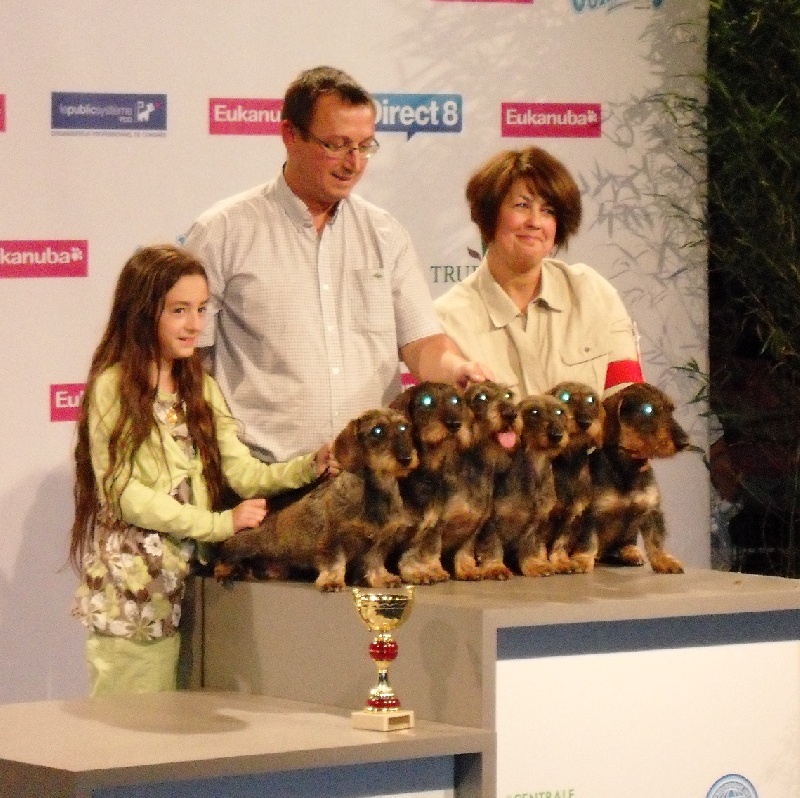 CH. Freya firefoot Des Trolls de Nerthus - 4 ème excellent classe intermédiaire