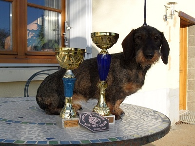 CH. Freya firefoot Des Trolls de Nerthus - 1ère excellente classe jeune