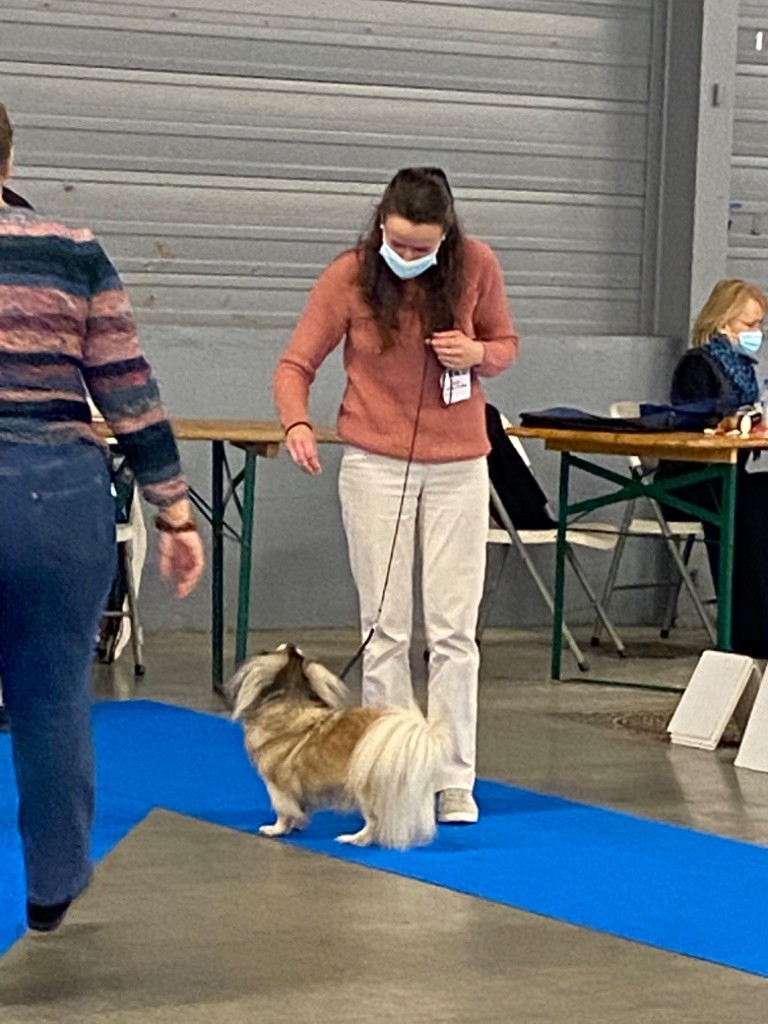 CH. Cannelle du houang-ho - 1 er meilleure vétérante