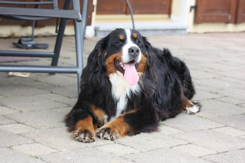 Publication : De La Ferme Mittelfeld