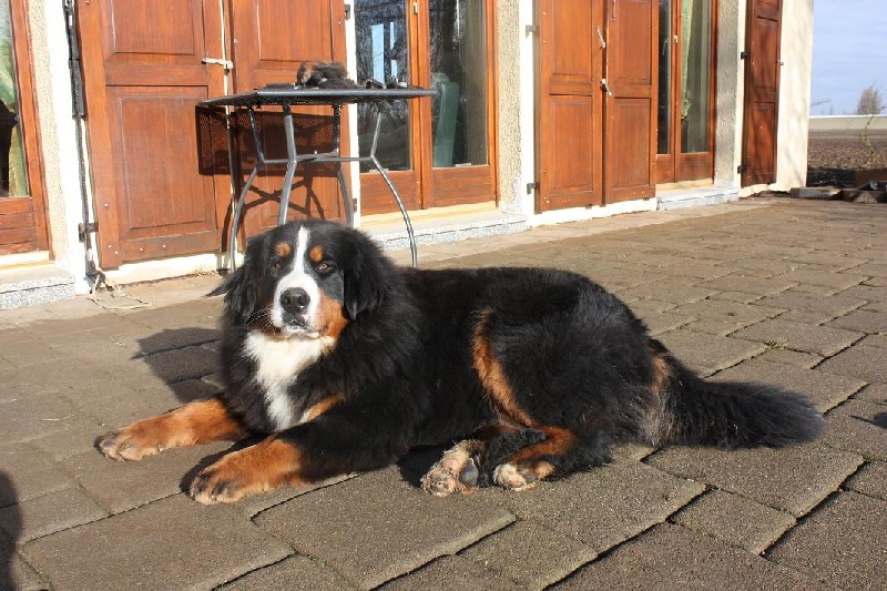 Publication : De La Ferme Mittelfeld