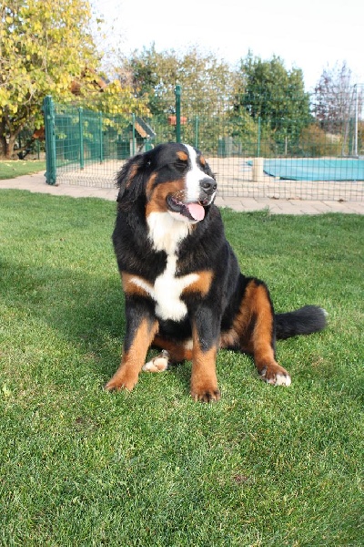 Publication : De La Ferme Mittelfeld